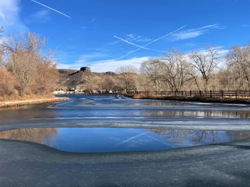 Trivia, VIBE @ Five, City Council, and the Buffalo Bill Museum