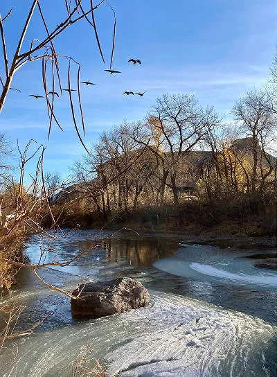 Parade Help, Garden Help, Dancing, Donating, and the Origins of Olde Golden Christmas