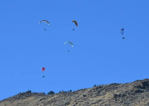 Carriage Rides, COVID Stats, and the Golden Welfare Fund