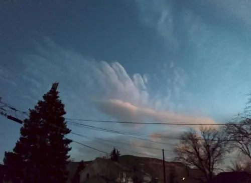 Hand Over Golden, Story Time at the RR Museum, and Interesting Phone Company Ads