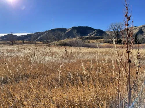 Solstice Gold, a Pub Crawl, and Golden’s Bad Month with the Spanish Influenza