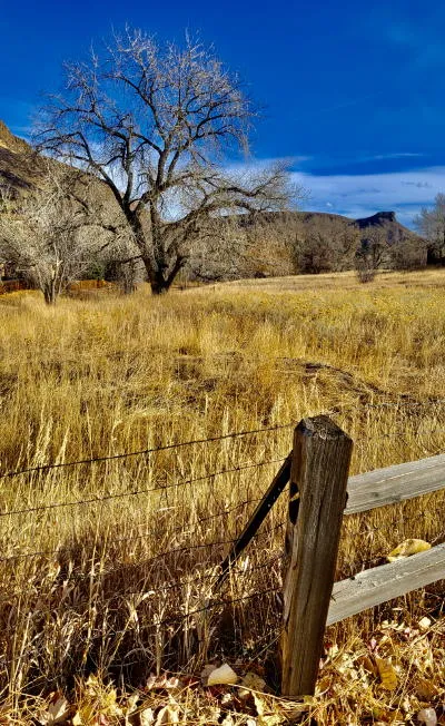 Sale at FAC’s HART, First Fire Truck