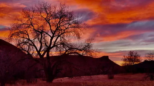 Pottery and a Play at Miners Alley Playhouse, Santa at the Golden Mill and Red Lights on the M