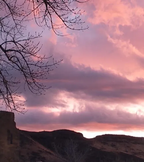 Final Day for Holiday Art Market