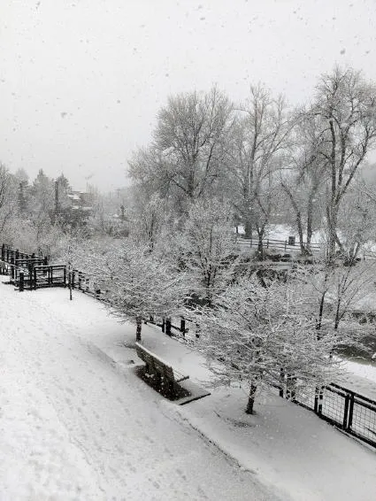 Golden is Abuzz: Art Class, Cowboys, History Tour, Dinosaur Tour, Train Ride, Lots of Music, and Freezing to Death