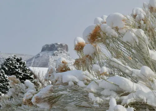 Golden Supports our Neighbors to the North, COVID Stats, and De-Watering the Golden Mill