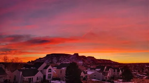 Exercise, Ukuleles, PTA Meetings, and Farm Mobilization