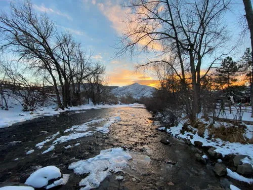 Sauropods, Parking, and Prospectors