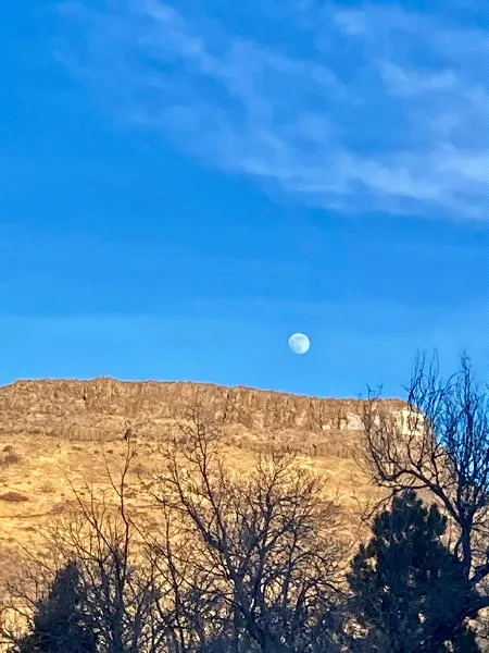 Full Moon, New Exhibits, Quilt Sale, and a Changing Block