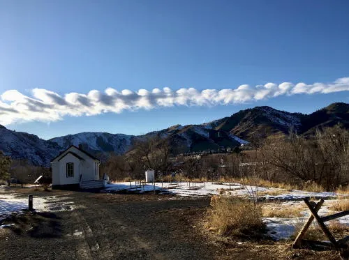 Stegasaurs, Fun Run, and the Story of the Library