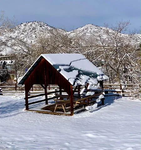 City Council, Trivia, and the Quilt Museum