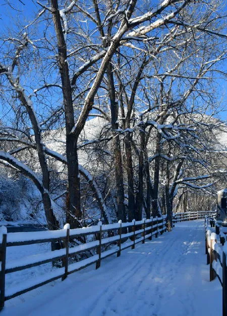 Art Trivia, Buying Water, Bag Fee, Museum Survey, and More FAC History