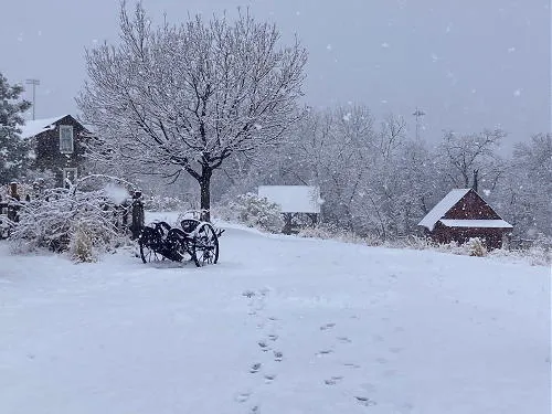 Public Art, Nightengale, and Bootleggers