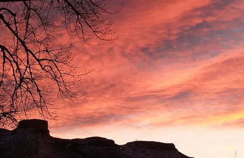 V.I.B.E. @ Five, City Council, Trivial Pursuits, Cultivating Positivity, and the Heart and Soul of Golden