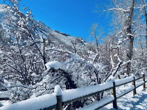 Live Steam, Ukuleles, Music, Plays, and a Late Valentine’s Day Dinner