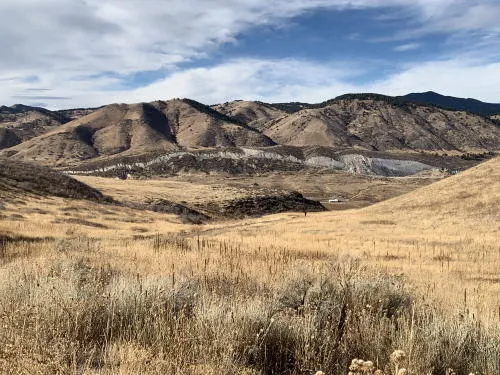 Exercise Classes, Tours, Trivia, and Bricks