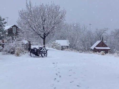 Cold and Snow, CoorsTek Plans, and the Vicissitudes of Horse Rescue