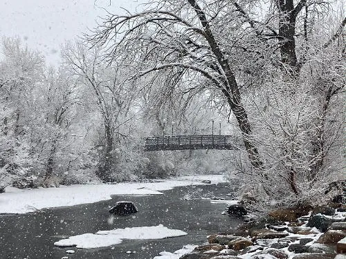 Ceratopsians, Handmaids, Green Beer, and Sewer Lines