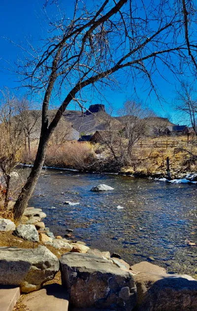 The Caboose, Creepy Sculptures, and Depression Days