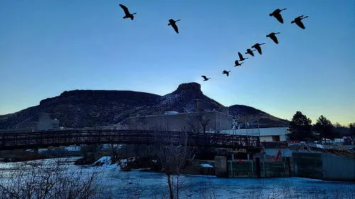 Artist Meetup, Board Apps, Music, COVID Stats, and the Anti-Saloon League