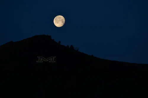 What’s Brewing, Trivia, and the Foss Mural, Part 2