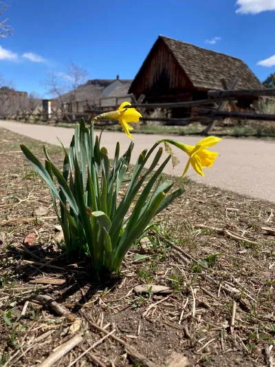 Galloping Goose, British Invasion, COVID Stats, and Protecting the Water Shed