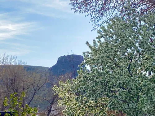 Events, Stats, and Reaching Golden in a Hurry