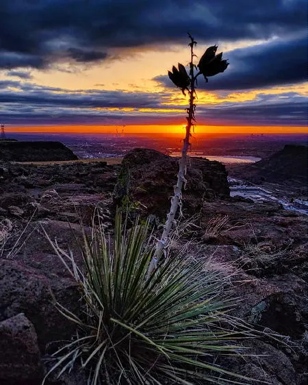 GHS Night, Storybook RR Tour, Trivia, and Arthur Lakes by the Numbers