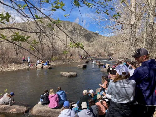Carnival & Fashion Show, Blues, and Quarry Dreams