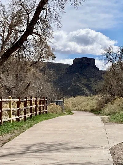 City Council and Ephemeral Comments