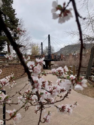 Two Major Meetings and One Gorgeous Garden