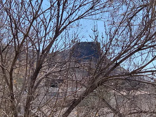 Family Day at Foothills Art Center, Swing Night at the Buffalo Rose, and a New Fire Station