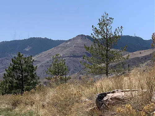 Boat Races, Carnival, No Fireworks, Fun at Foothills, and the Princess & the Pea