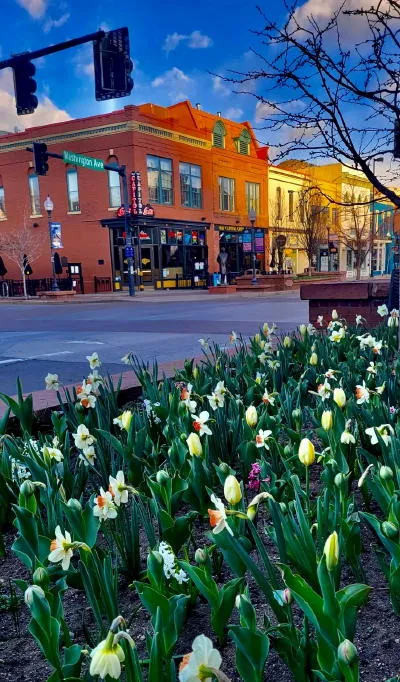 History Talk, Preview at Miners Alley, and Protecting the Watershed, Circa 1922