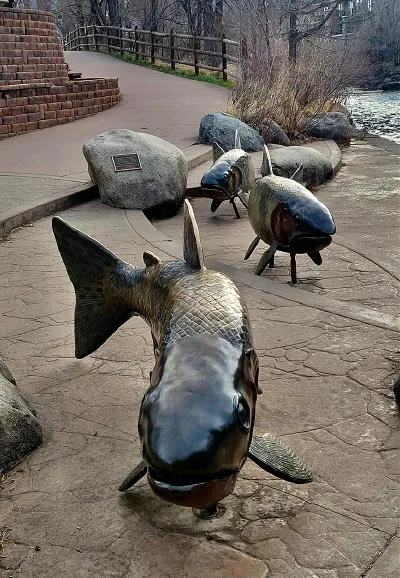 Cutthroat, Coffee, and Welcome Water