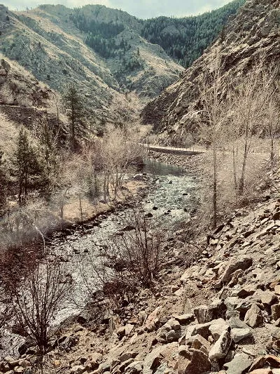 E-Days, COVID, Walk on Washington, and a Review of Blue Ridge