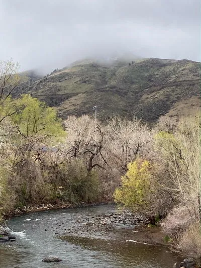 Misty M, Trivia Tuesday, and the Campground