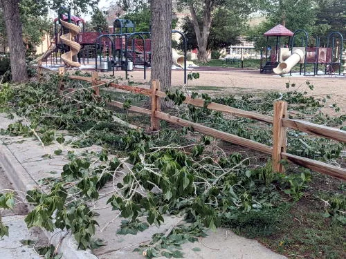 Storm Damage, Monday with the Mayor, the Wild Party, and the Fire