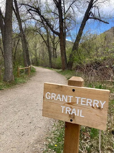 Plant Sale, New Exhibit at Foothills, Ghosts, and Blue Ridge On-Demand