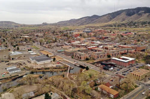 Art, Music, Theater, History, and COVID