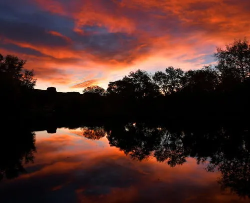 Summer Solstice, Creek News, and Finding a Use for a Rock