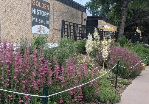 Acoustic Alchemy and the Guy Hill School