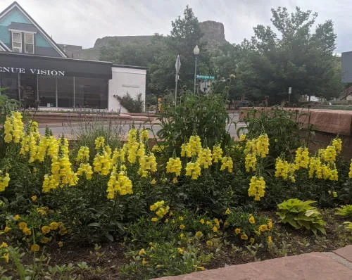 A New Federal Holiday And An Old Courthouse