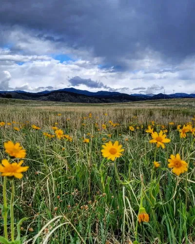 Morning StArt, Rails & Cocktails, and a Paint Job for the Laundromat