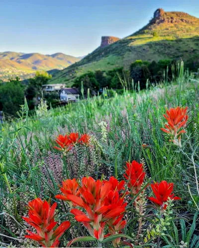 Opening Day for the Farmers Market, Coffee in Our New Park, the Super Cruise, and Wartime Shortages