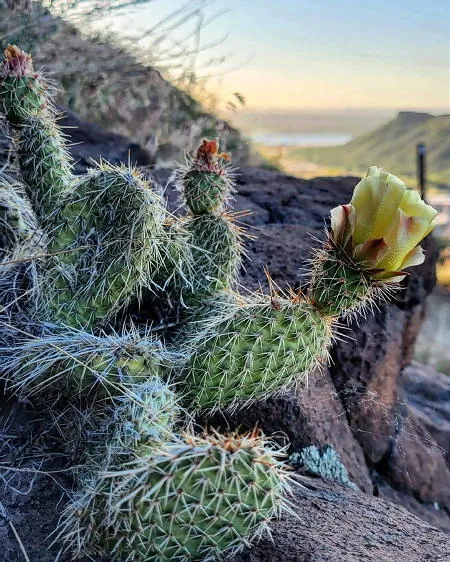 Park & Cultural Funding and Golden’s 163rd Anniversary