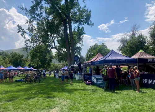 Electronics Recycling, Dinosaurs, Engines, and a Unique Museum