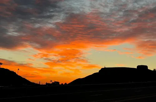 City Manager-Palooza