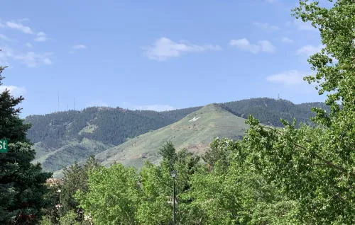 Artistic Trash Containers, Used Books, Blue Ridge, and Property Ownership