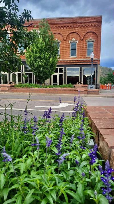 COVID, Tents, and the July Preview